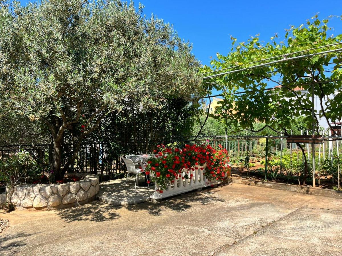 Joso Apartament *